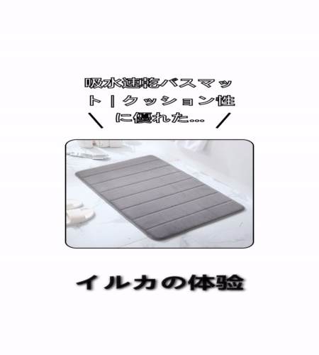 実物検証