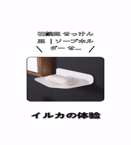 実物検証