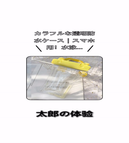 実物検証