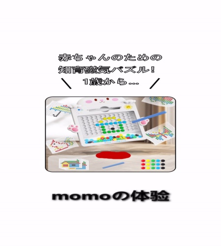 実物検証