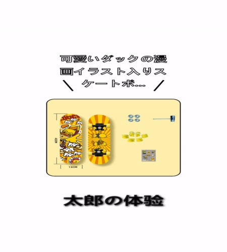 実物検証