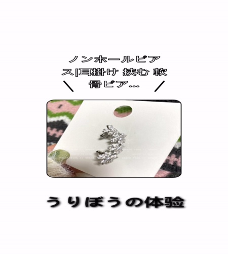 実物検証