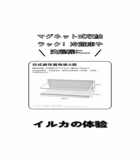 実物検証