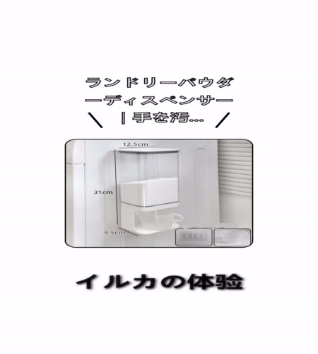 実物検証