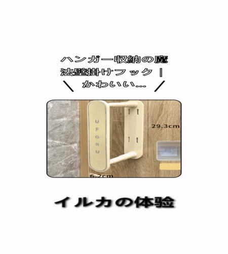 実物検証