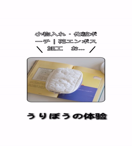 実物検証