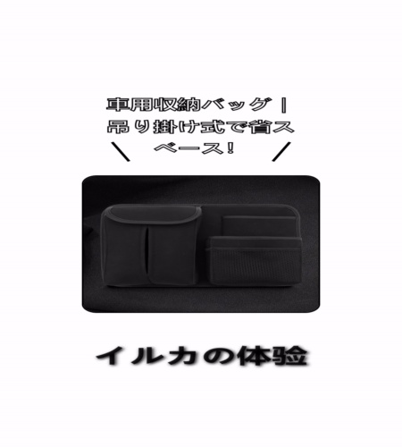 実物検証