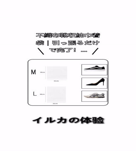 実物検証