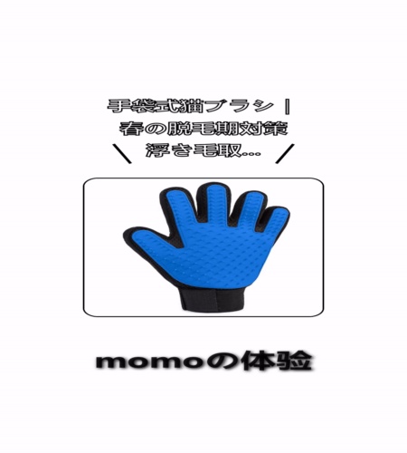実物検証
