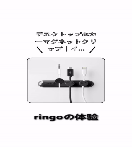 実物検証