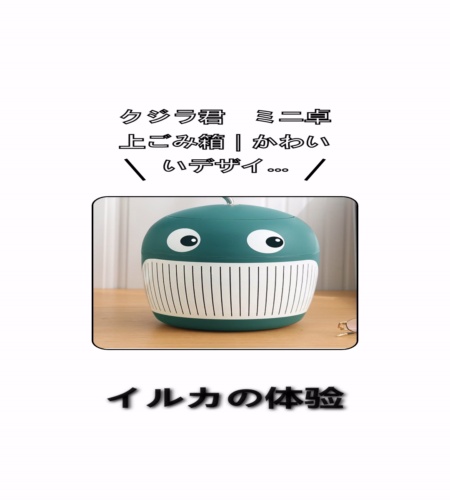 実物検証