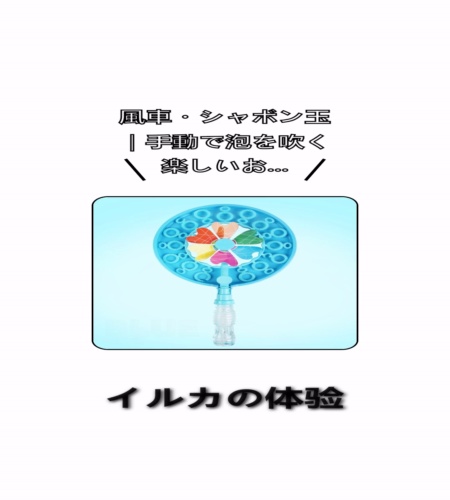 実物検証