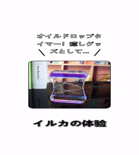 実物検証