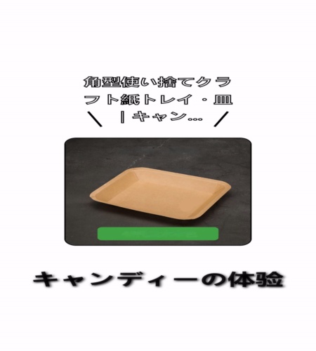 実物検証