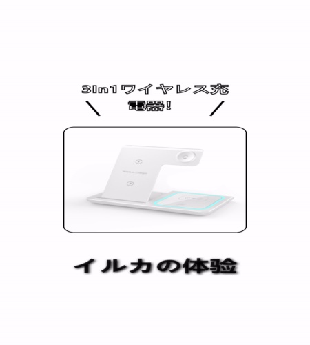実物検証