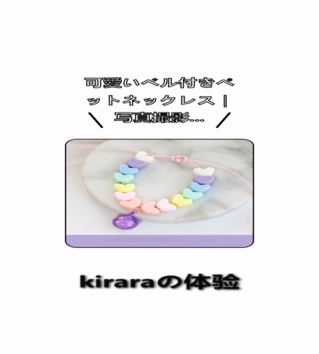 実物検証