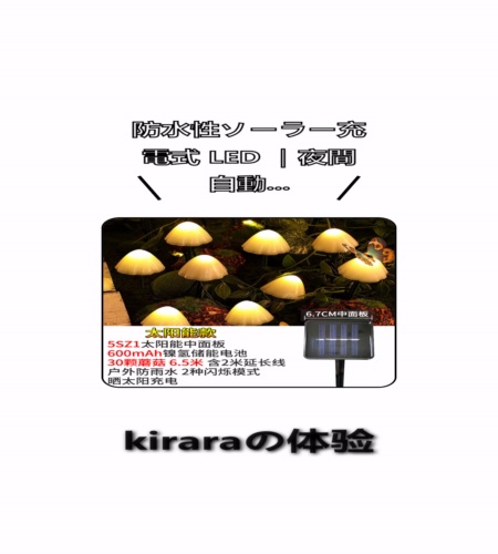 実物検証