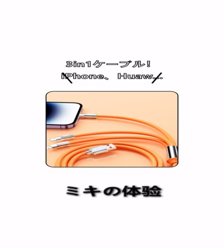 実物検証