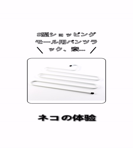 実物検証