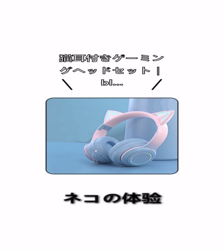 実物検証