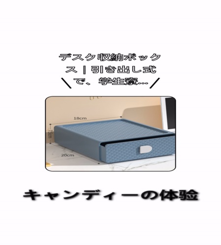 実物検証