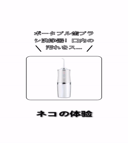 実物検証