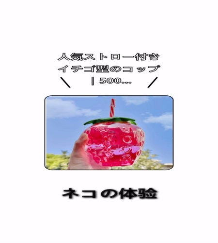実物検証