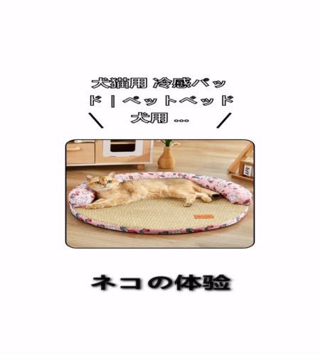 実物検証