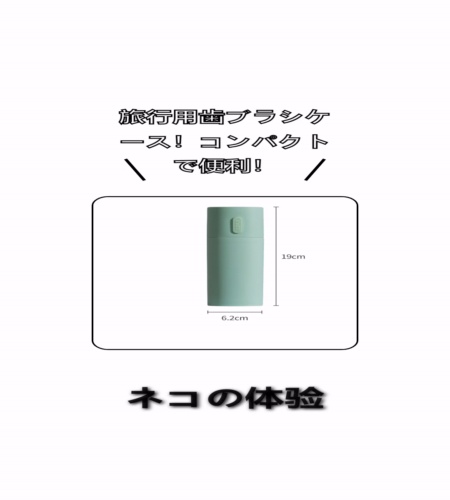 実物検証