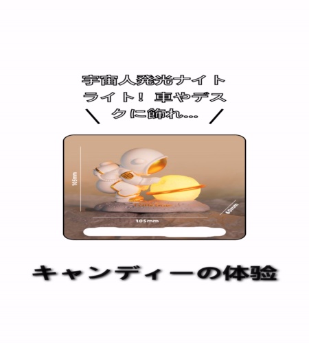 実物検証