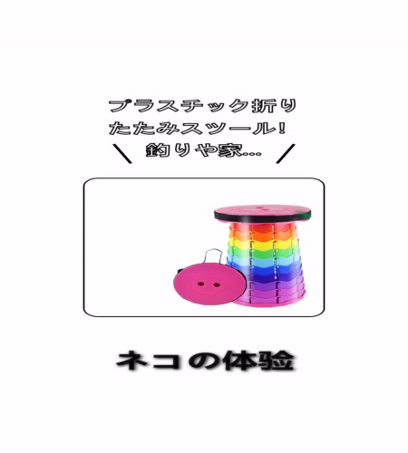 実物検証