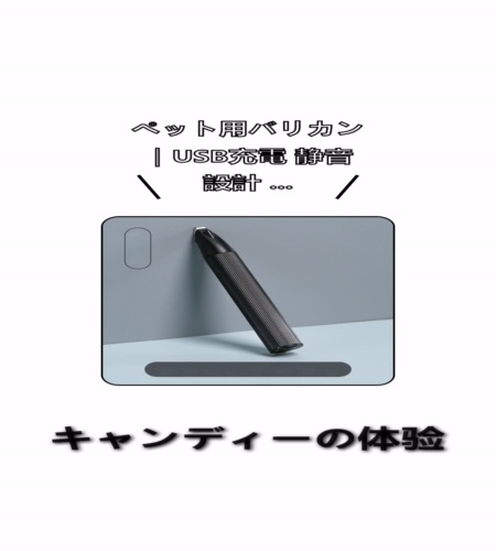 実物検証