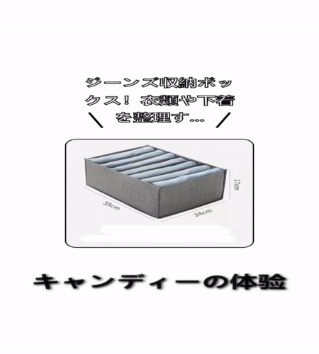 実物検証