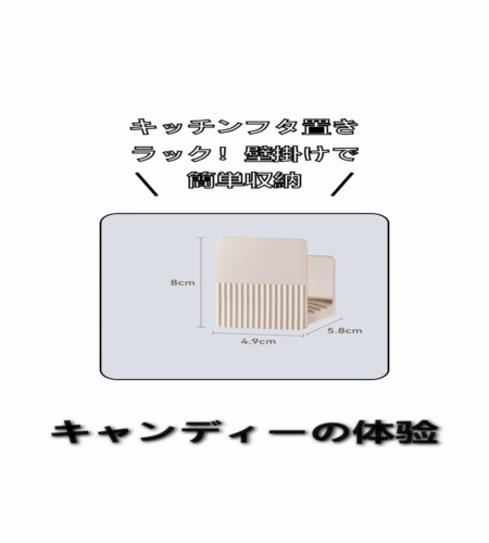 実物検証