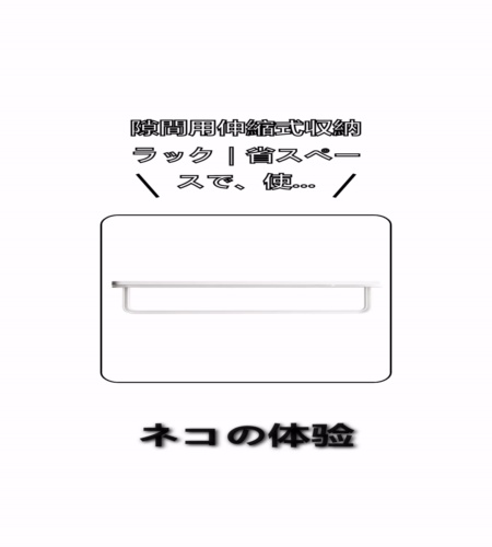 実物検証