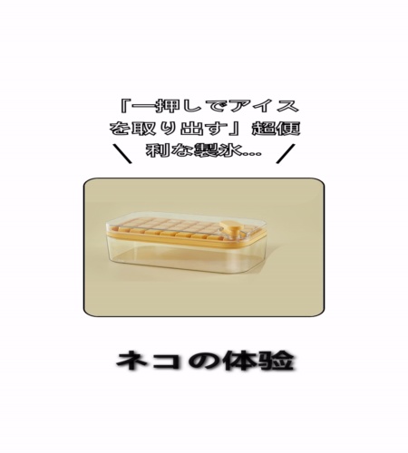 実物検証
