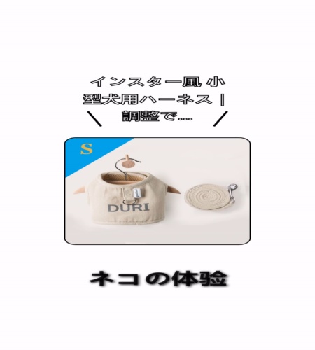 実物検証