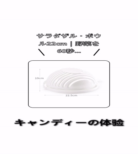 実物検証