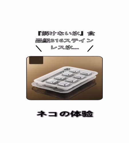 実物検証