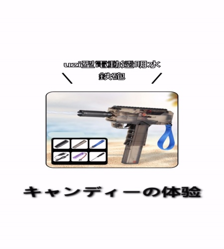 実物検証