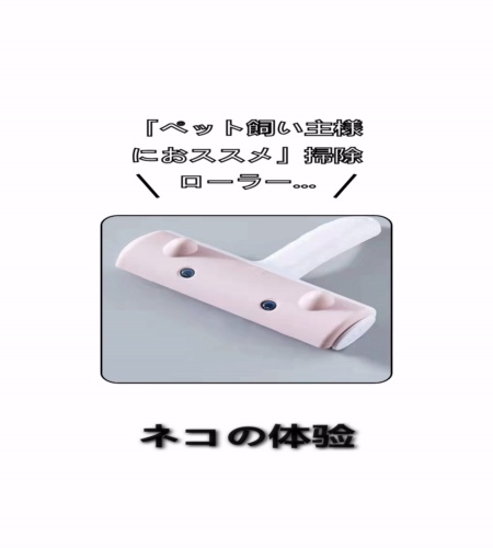実物検証