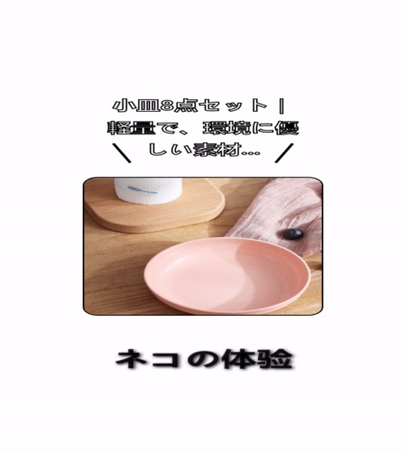 実物検証