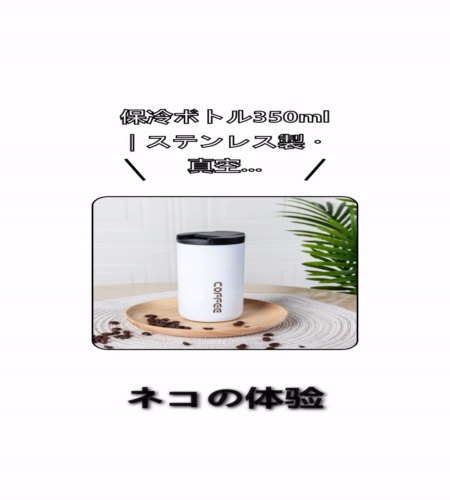 実物検証
