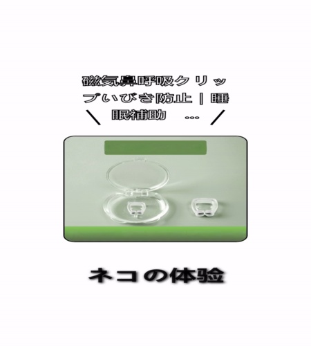 実物検証