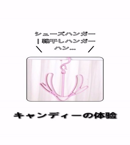 実物検証