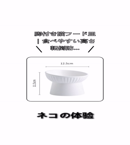 実物検証
