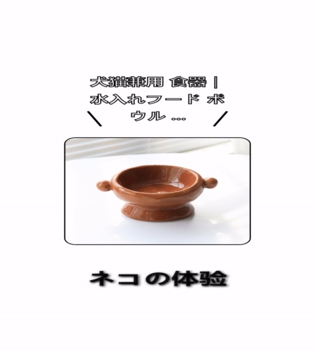 実物検証