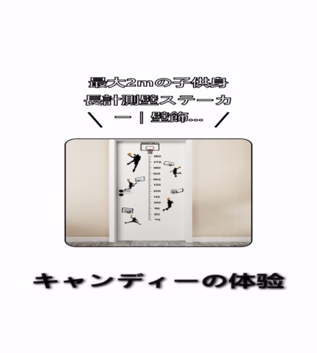 実物検証
