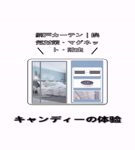 実物検証