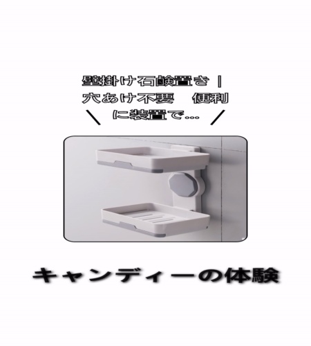実物検証